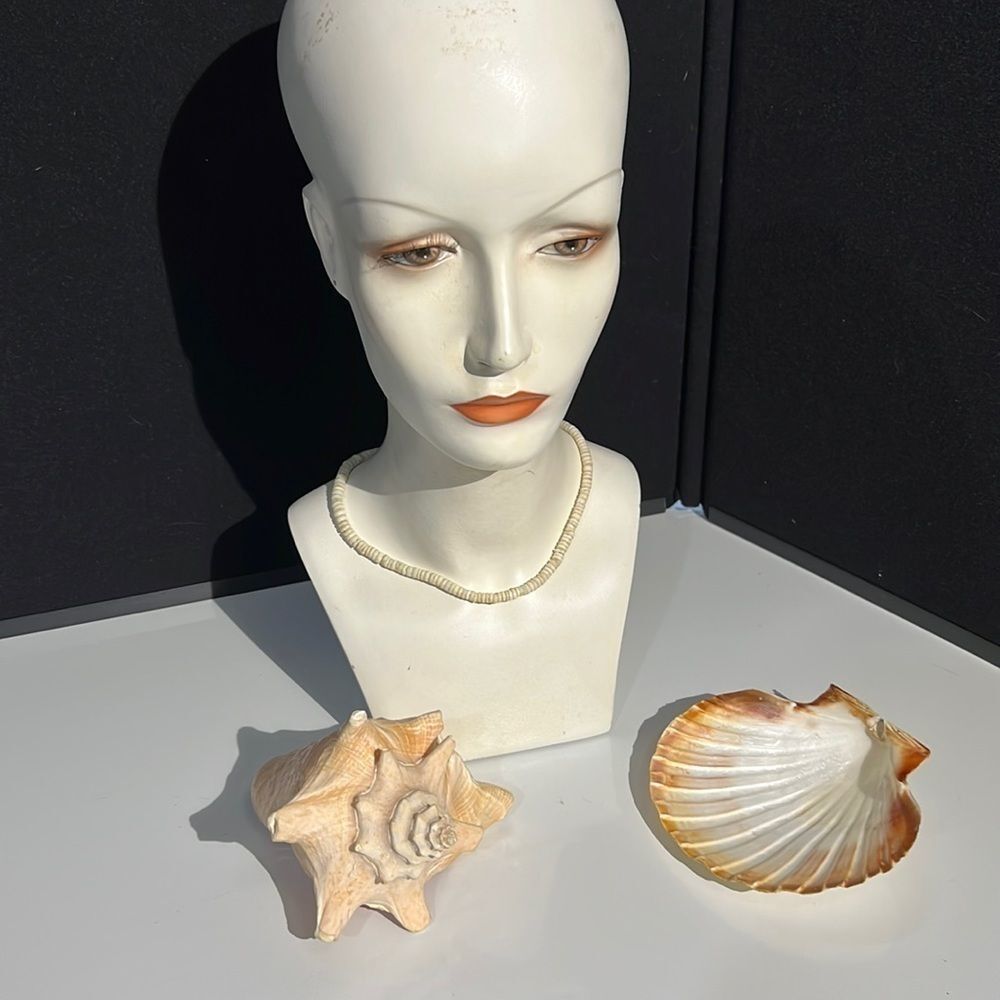 Bundle Sale 3 for $15 | Vintage Sea Shell Necklace